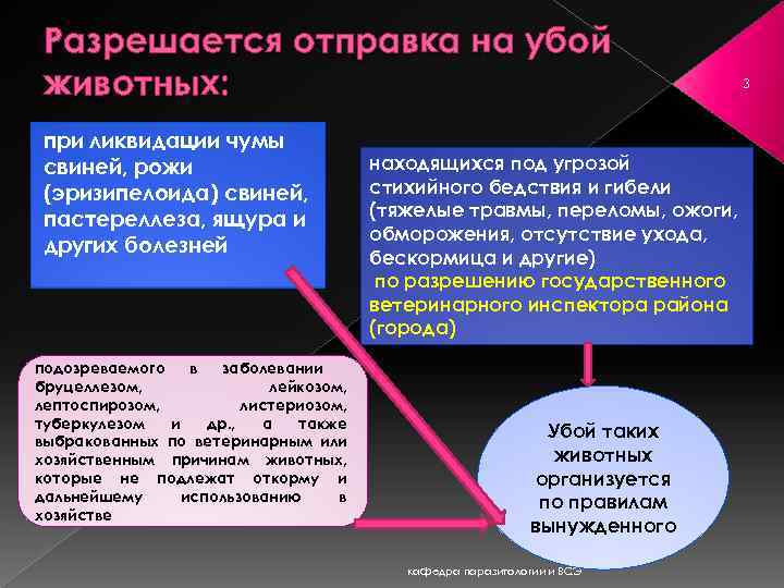 Разрешается отправка на убой животных: при ликвидации чумы свиней, рожи (эризипелоида) свиней, пастереллеза, ящура