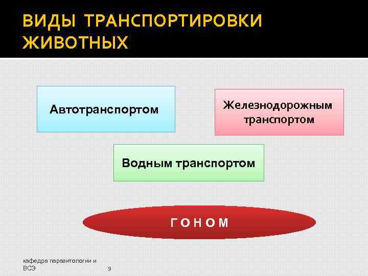 ВИДЫ ТРАНСПОРТИРОВКИ ЖИВОТНЫХ Автотранспортом Железнодорожным транспортом Водным транспортом ГОНОМ кафедра паразитологии и ВСЭ 9