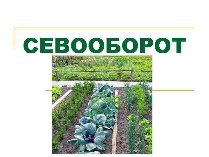 СЕВООБОРОТ 