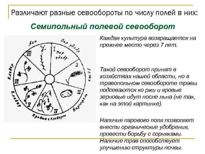 Различают разные севообороты по числу полей в них: Семипольный полевой севооборот Каждая культура возвращается
