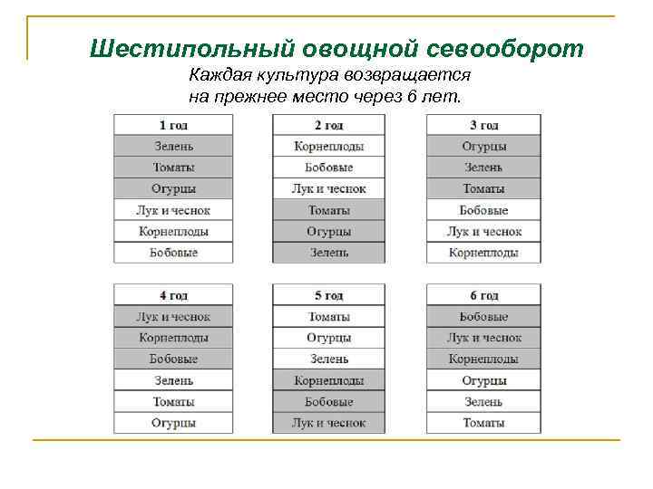 Шестипольный овощной севооборот Каждая культура возвращается на прежнее место через 6 лет. 