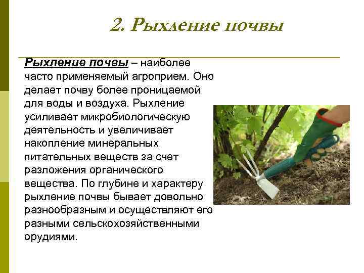 2. Рыхление почвы – наиболее часто применяемый агроприем. Оно делает почву более проницаемой для