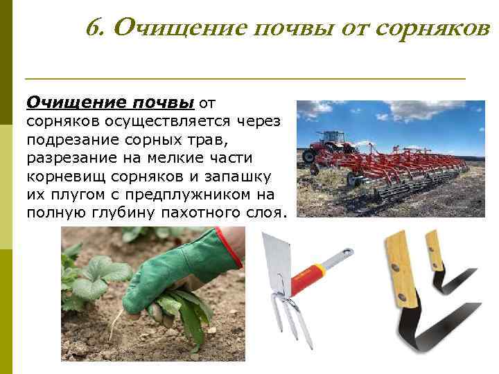 6. Очищение почвы от сорняков осуществляется через подрезание сорных трав, разрезание на мелкие части