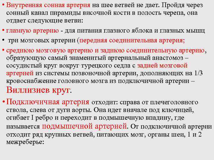  • Внутренняя сонная артерия на шее ветвей не дает. Пройдя через сонный канал