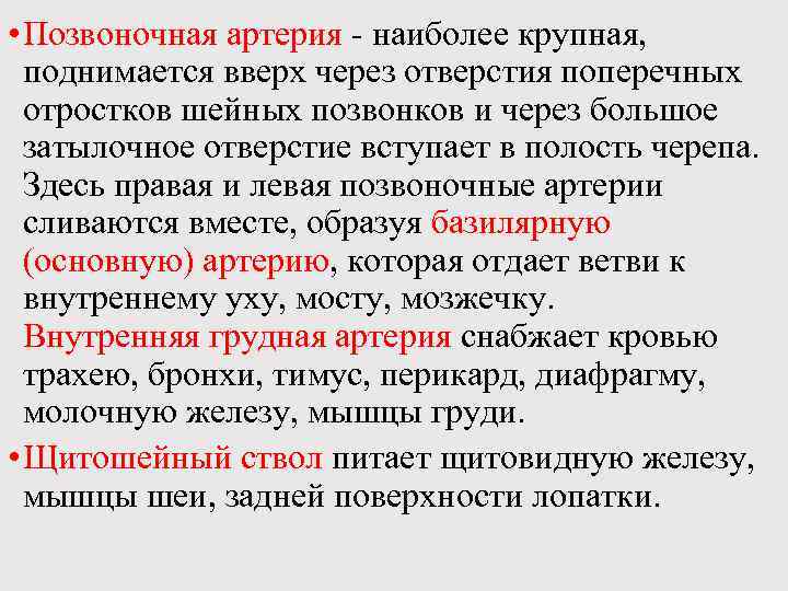  • Позвоночная артерия - наиболее крупная, поднимается вверх через отверстия поперечных отростков шейных