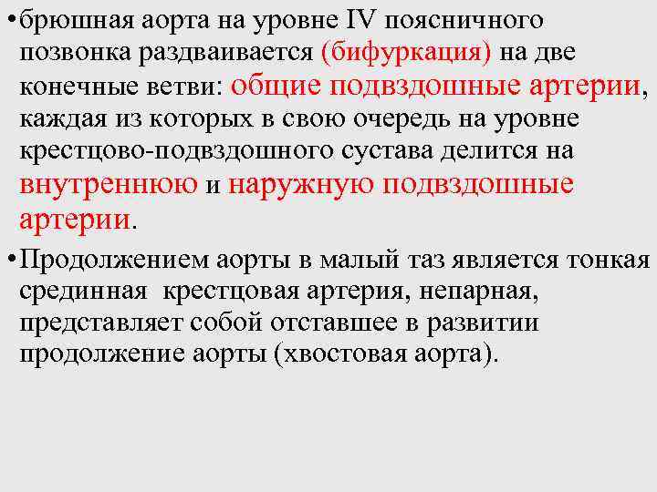  • брюшная аорта на уровне IV поясничного позвонка раздваивается (бифуркация) на две конечные