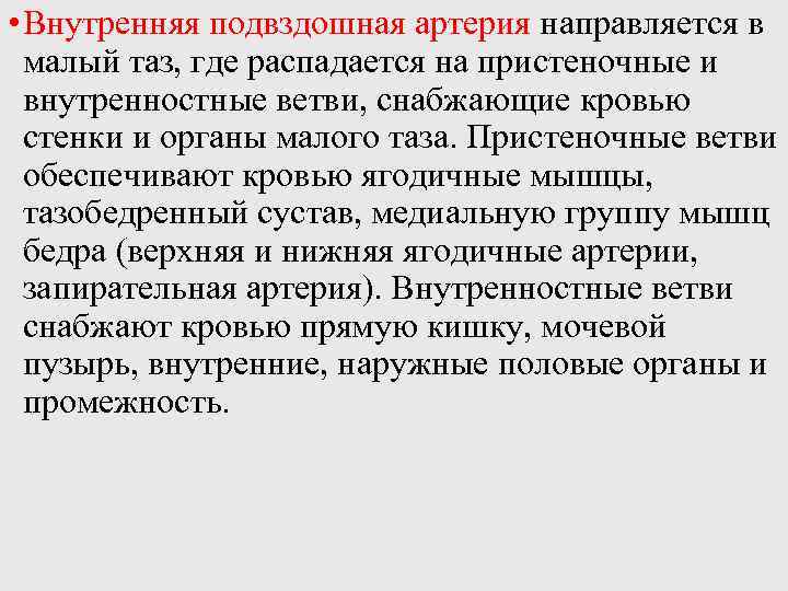  • Внутренняя подвздошная артерия направляется в малый таз, где распадается на пристеночные и