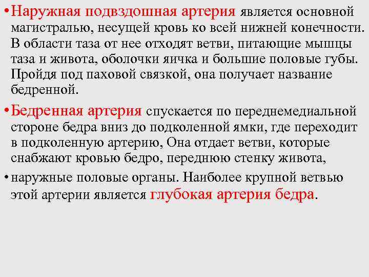  • Наружная подвздошная артерия является основной магистралью, несущей кровь ко всей нижней конечности.