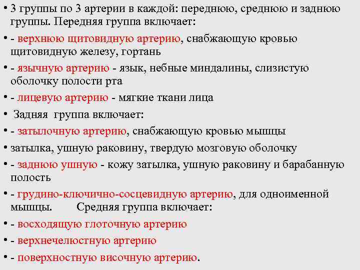  • 3 группы по 3 артерии в каждой: переднюю, среднюю и заднюю группы.