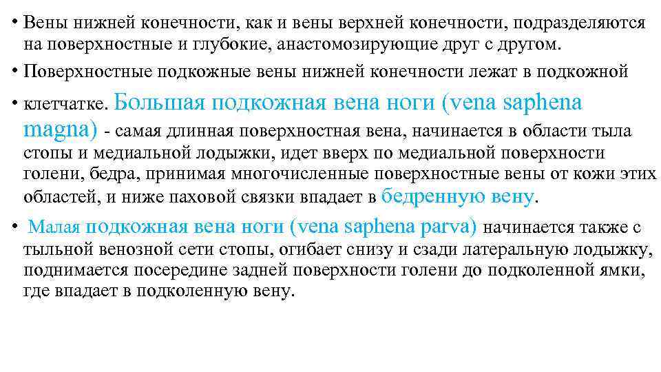  • Вены нижней конечности, как и вены верхней конечности, подразделяются на поверхностные и