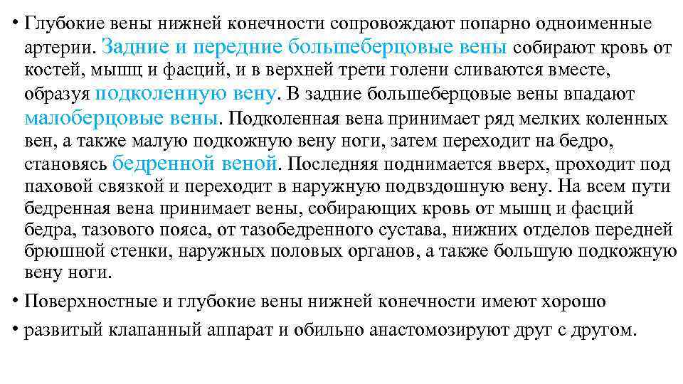  • Глубокие вены нижней конечности сопровождают попарно одноименные артерии. Задние и передние большеберцовые