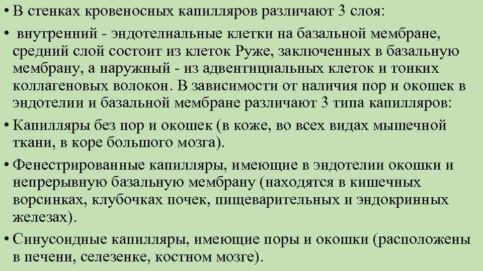  • В стенках кровеносных капилляров различают 3 слоя: • внутренний - эндотелиальные клетки