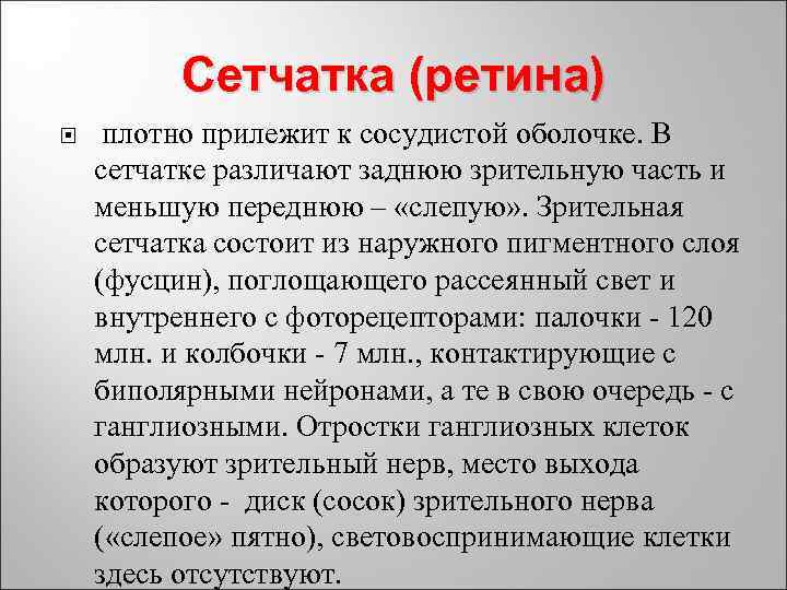 Сетчатка (ретина) плотно прилежит к сосудистой оболочке. В сетчатке различают заднюю зрительную часть и
