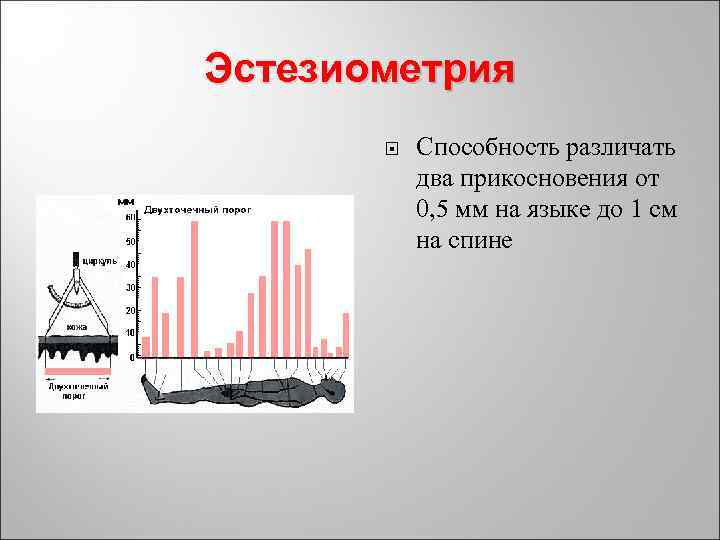 Эстезиометрия Способность различать два прикосновения от 0, 5 мм на языке до 1 см