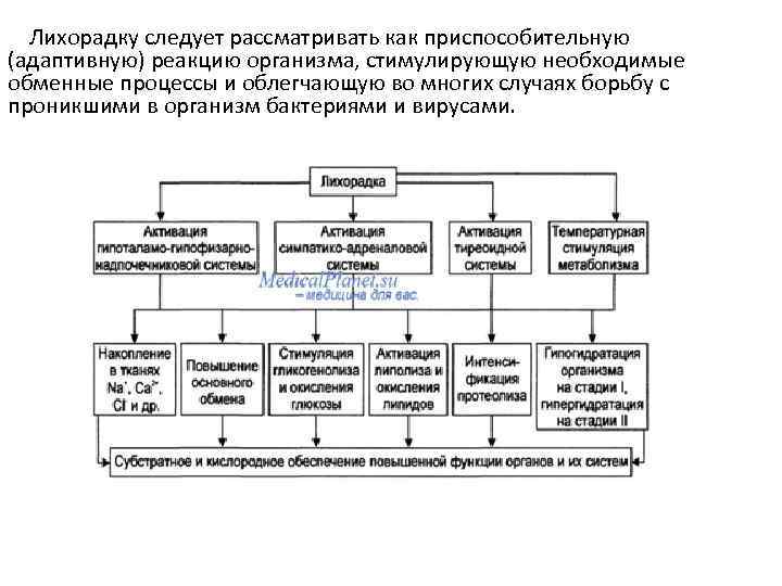  Лихорадку следует рассматривать как приспособительную (адаптивную) реакцию организма, стимулирующую необходимые обменные процессы и