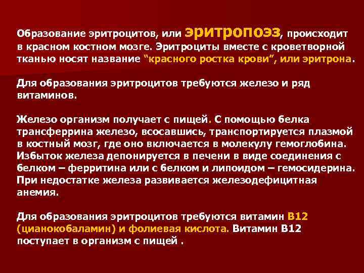 эритропоэз Образование эритроцитов, или , происходит в красном костном мозге. Эритроциты вместе с кроветворной