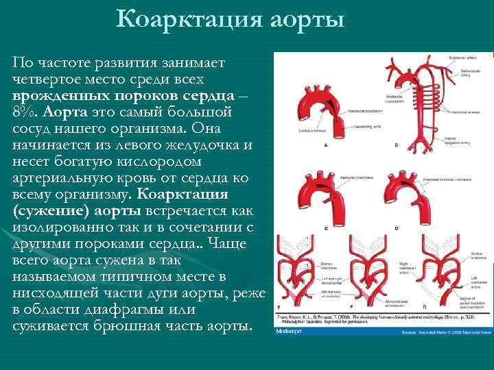 Презентация по педиатрии