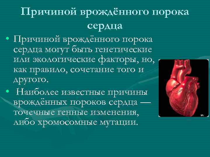 Причиной врождённого порока сердца • Причиной врождённого порока сердца могут быть генетические или экологические