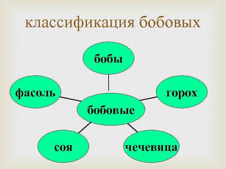 классификация бобовых бобы фасоль горох бобовые соя чечевица 