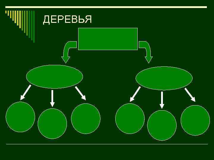 ДЕРЕВЬЯ 