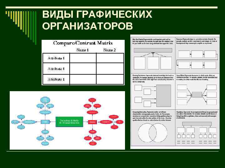 ВИДЫ ГРАФИЧЕСКИХ ОРГАНИЗАТОРОВ 