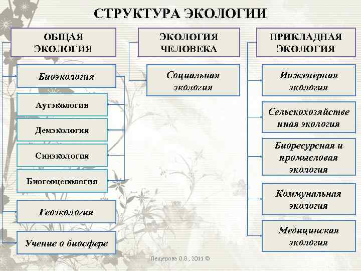 СТРУКТУРА ЭКОЛОГИИ ОБЩАЯ ЭКОЛОГИЯ ЧЕЛОВЕКА Биоэкология Социальная экология Аутэкология ПРИКЛАДНАЯ ЭКОЛОГИЯ Инженерная экология Сельскохозяйстве