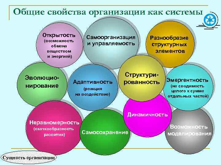 Общие свойства организации как системы Открытость (возможность обмена веществом и энергией) Эволюционирование Самоорганизация и