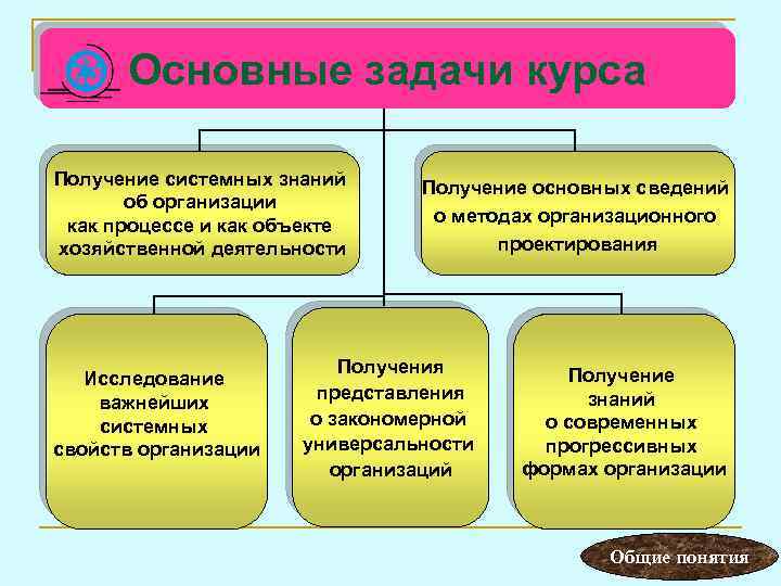 Основные задачи курса Получение системных знаний об организации как процессе и как объекте хозяйственной