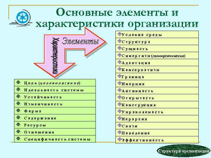 Основные элементы и характеристики организации Условие среды Структура Сущность С и н е р