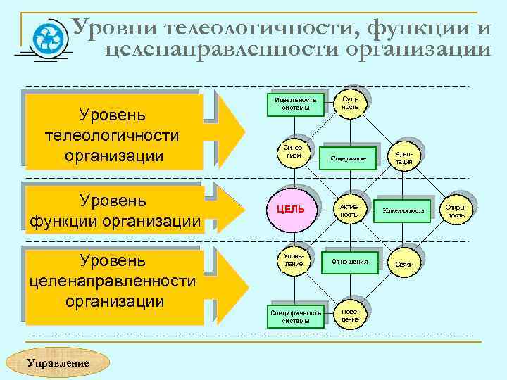 Уровни телеологичности, функции и целенаправленности организации Уровень телеологичности организации Уровень функции организации Уровень целенаправленности