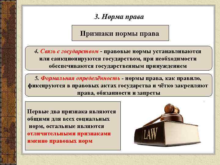 3. Норма права Признаки нормы права 4. Связь с государством - правовые нормы устанавливаются