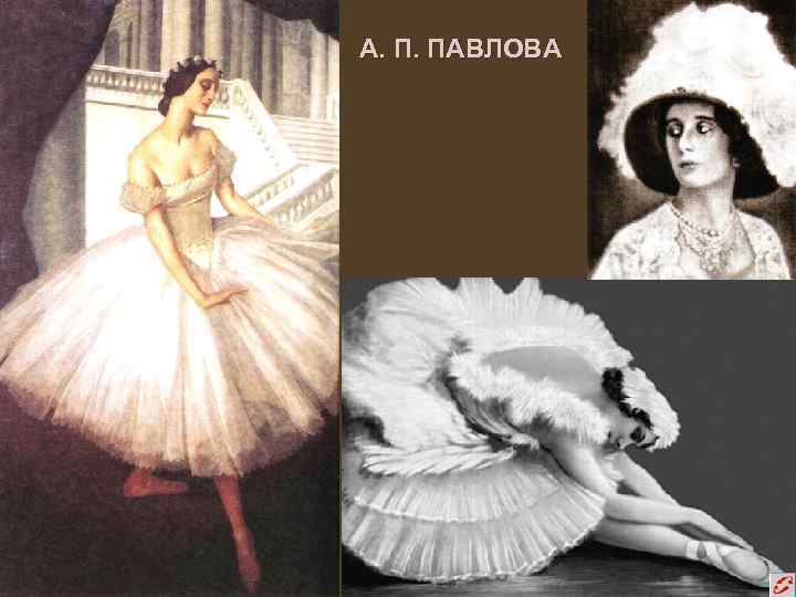 А. П. ПАВЛОВА 