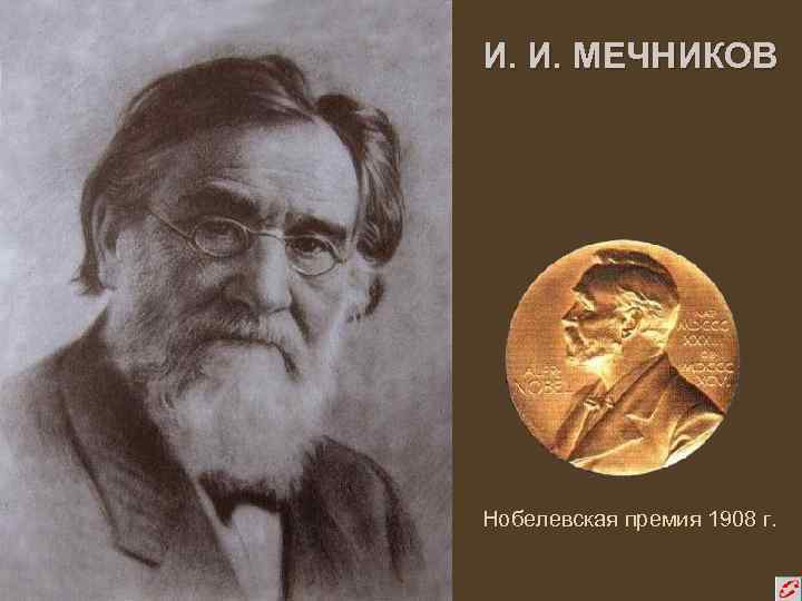 Мечников нобелевская премия. Илья Мечников Нобелевская премия. Мечников Нобелевская премия 1908. Павлов и Мечников. Сеченов и Мечников.