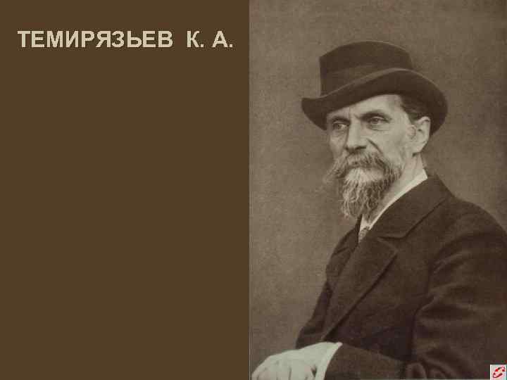 ТЕМИРЯЗЬЕВ К. А. 