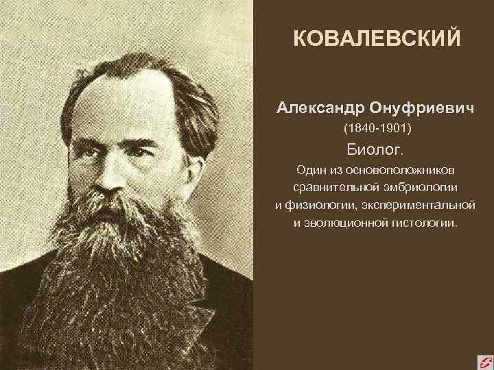 Профессором ковалевским. Ковалевский а.о. (1840-1901). Александр Онуфриевич Ковалевский. Александр Онуфриевич Ковалевский (1840-1901). Ковалевский Владимир Онуфриевич (1842-1883.