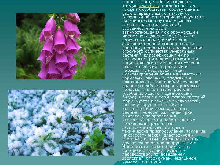 состоит в том, чтобы исследовать каждое растение, в отдельности, а также их сообщества, образующие