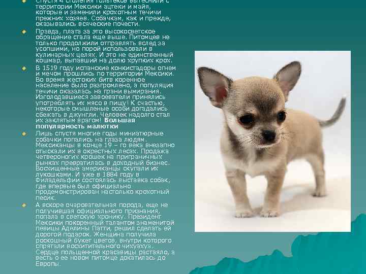 u u u Спустя 4 столетия тольтеков вытеснили с территории Мексики ацтеки и майя,