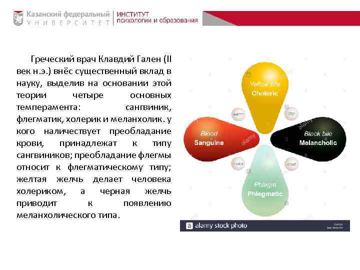 Греческий врач Клавдий Гален (II век н. э. ) внёс существенный вклад в науку,