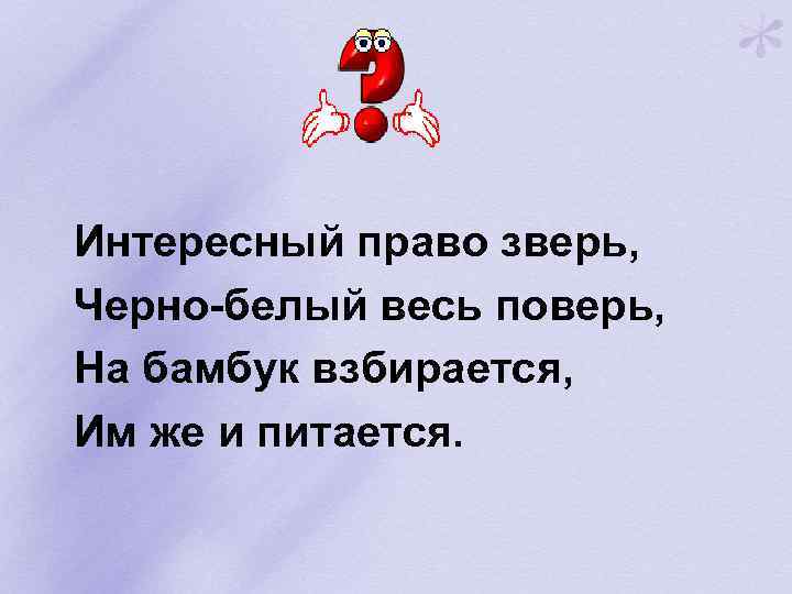Интересный право зверь, Черно-белый весь поверь, На бамбук взбирается, Им же и питается. 