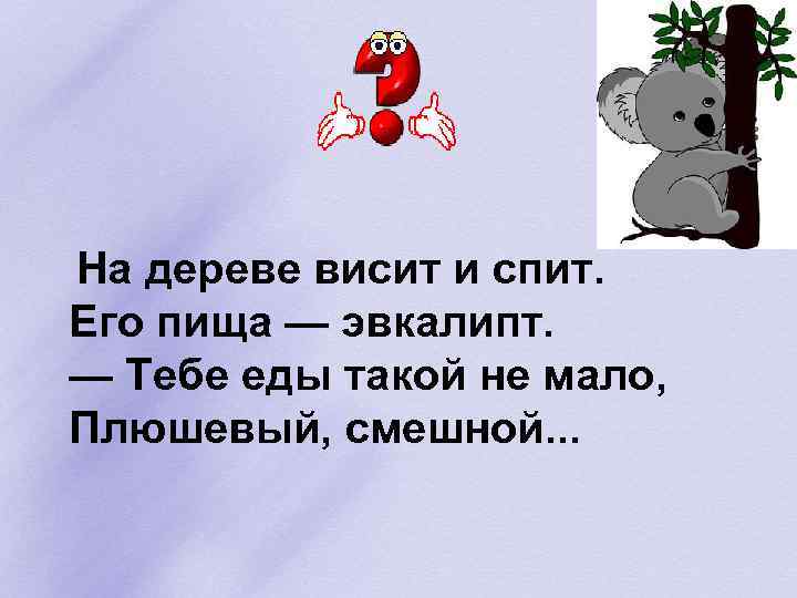  На дереве висит и спит. Его пища — эвкалипт. — Тебе еды такой