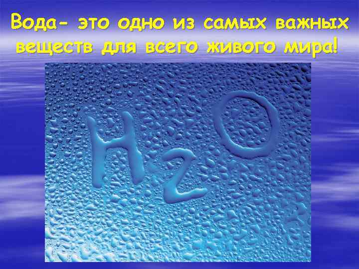 Вода- это одно из самых важных веществ для всего живого мира! 