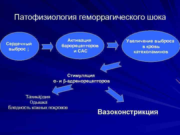 Патофизиология геморрагического шока Сердечный выброс ↓ Активация барорецепторов и САС Увеличение выброса в кровь