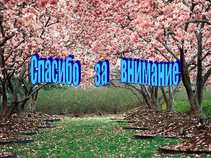 Спасибо за внимание 