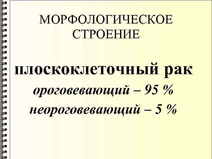 МОРФОЛОГИЧЕСКОЕ СТРОЕНИЕ плоскоклеточный рак ороговевающий – 95 % неороговевающий – 5 % 