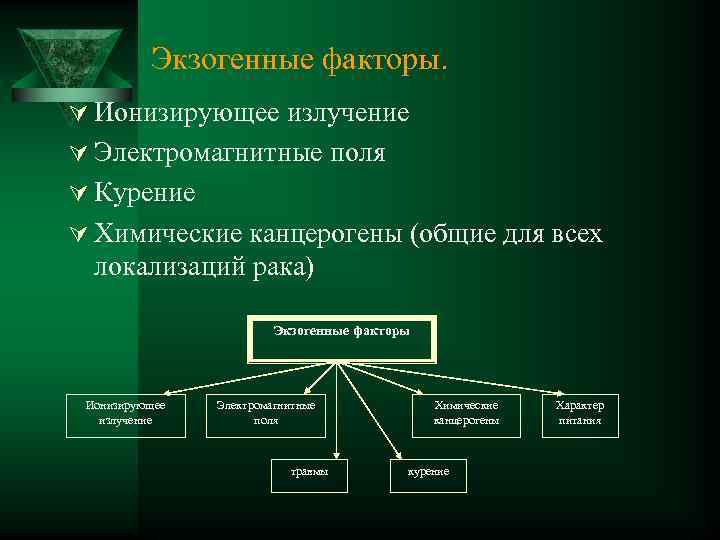 Экзогенные факторы. Ú Ионизирующее излучение Ú Электромагнитные поля Ú Курение Ú Химические канцерогены (общие