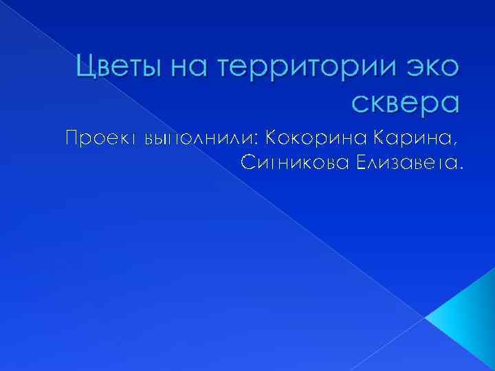 Цветы на территории эко сквера Проект выполнили: Кокорина Карина, Ситникова Елизавета. 