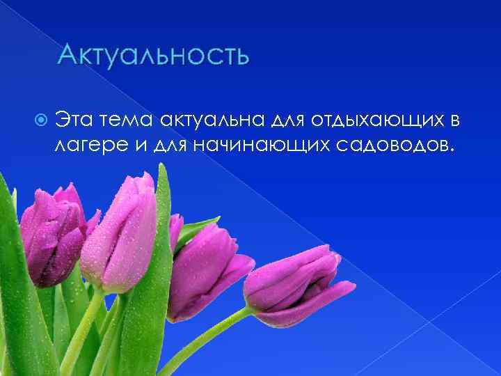 Актуальность Эта тема актуальна для отдыхающих в лагере и для начинающих садоводов. 