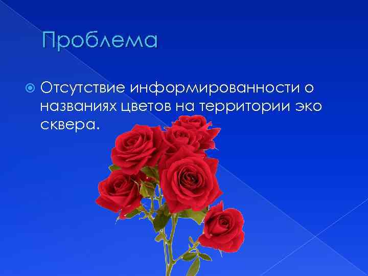 Проблема Отсутствие информированности о названиях цветов на территории эко сквера. 