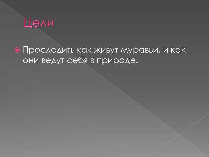 Цели Проследить как живут муравьи, и как они ведут себя в природе. 