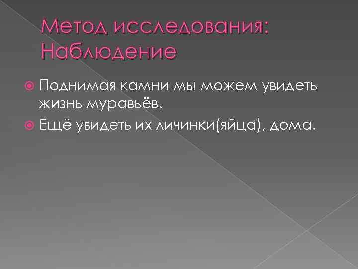 Метод исследования: Наблюдение Поднимая камни мы можем увидеть жизнь муравьёв. Ещё увидеть их личинки(яйца),